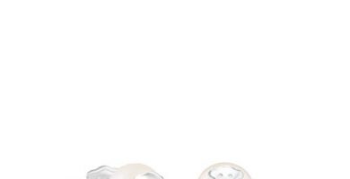 TOUS Bear - Pendientes con Perla Cultivada de Agua Dulce y Oso en Plata de Primera Ley - Motivo: 0,85 cm